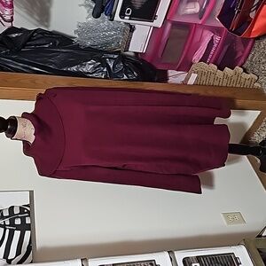 Nwt 3x maroon turtle neck.